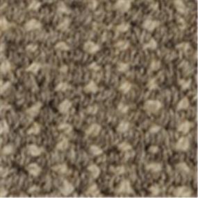 Loop Spartan Brown Carpet