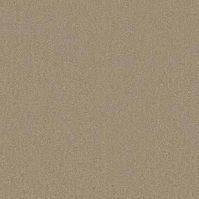 Textured Saxony Champagne Beige/Tan Carpet