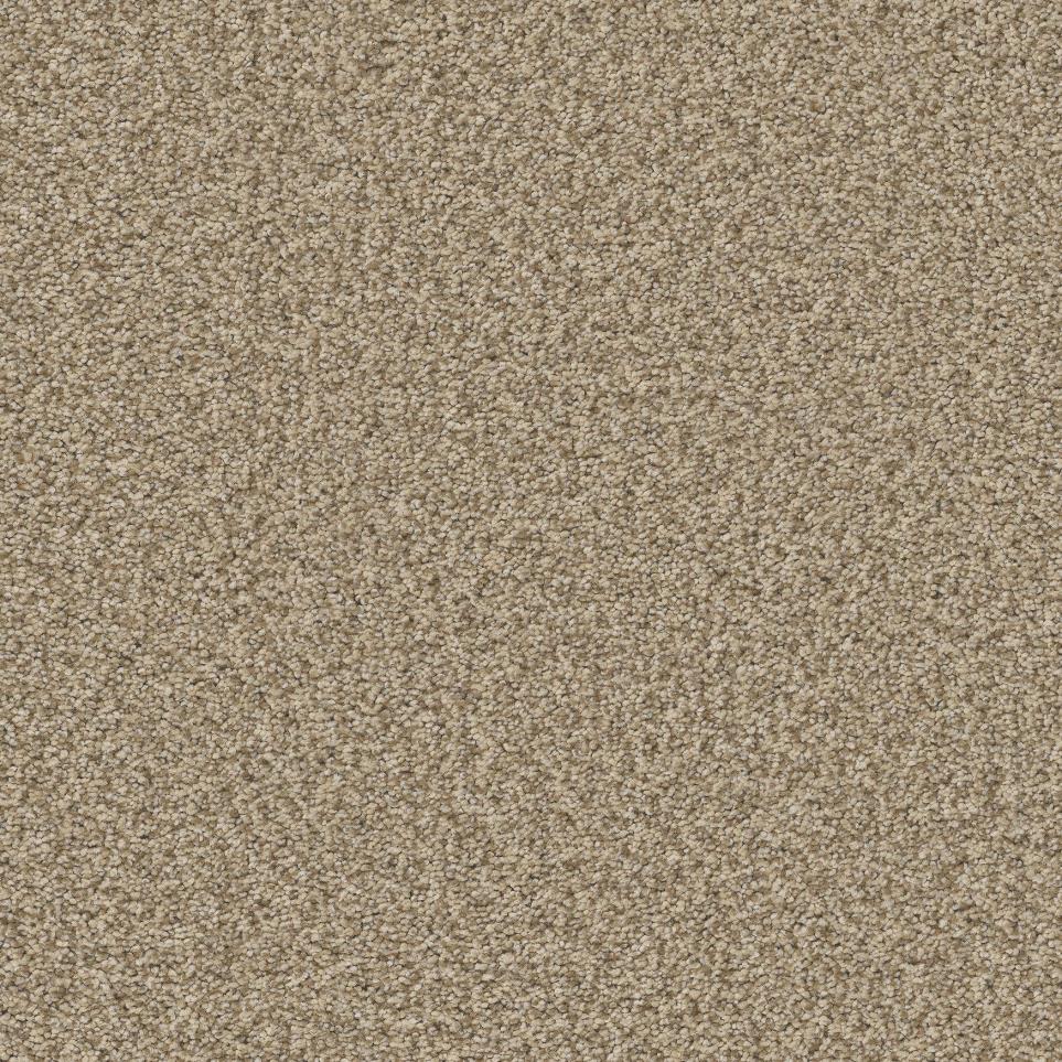 Textured Saxony Champagne Beige/Tan Carpet