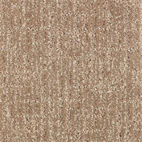 Pattern Brownie Beige/Tan Carpet