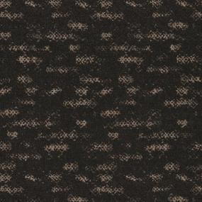 Pattern Buckeye Black Carpet