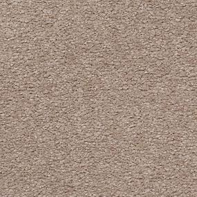 Textured Saxony Tapestry Brown Carpet