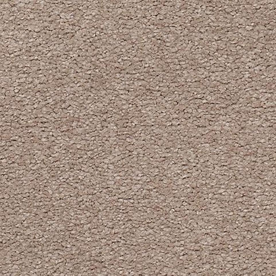 Textured Saxony Tapestry Brown Carpet