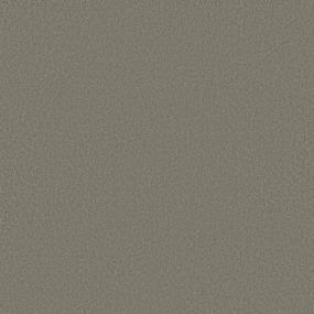 Texture Tumbleweed Brown Carpet