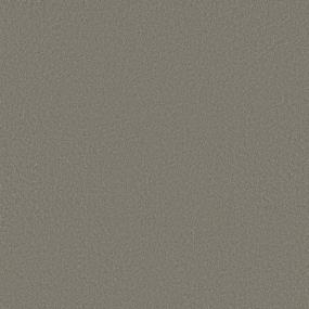 Texture Driftwood Brown Carpet