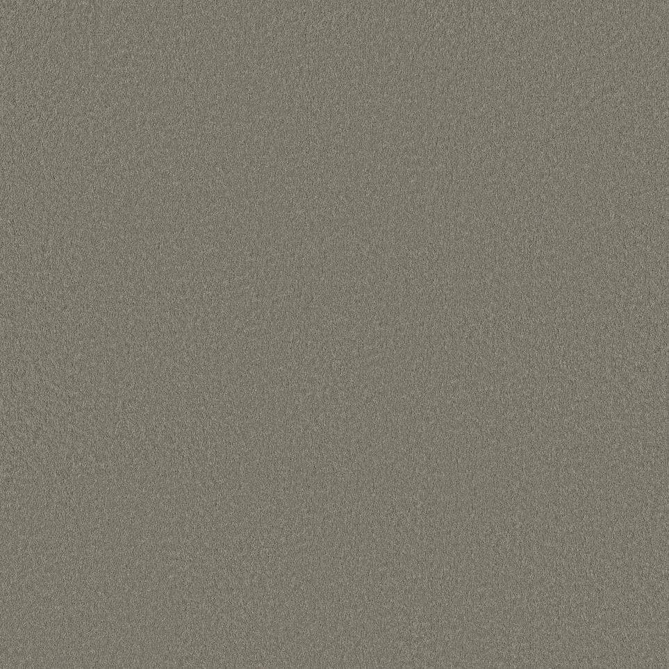 Texture Tumbleweed Brown Carpet