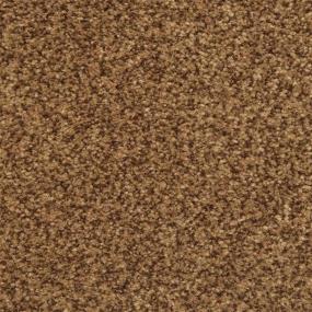 Casual Texture Espresso Brown Carpet