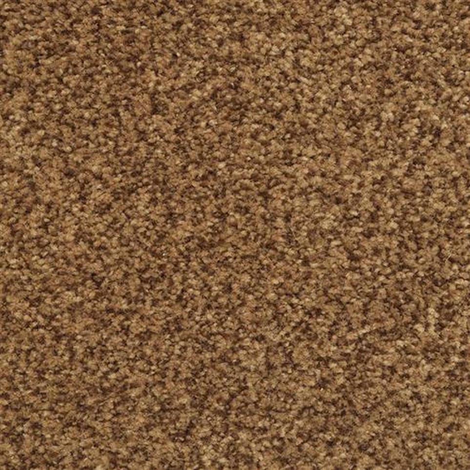 Casual Texture Espresso Brown Carpet