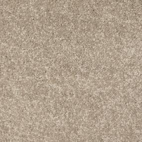 Textured Saxony Universal Beige/Tan Carpet