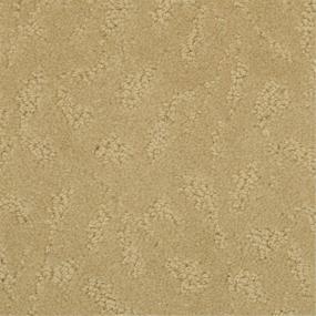 Pattern Rich Tan Beige/Tan Carpet