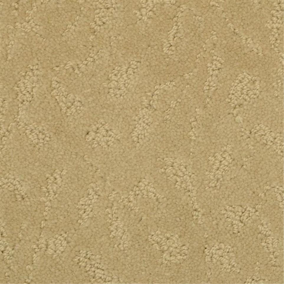 Pattern Rich Tan Beige/Tan Carpet