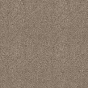 Textured Saxony Barista Beige/Tan Carpet