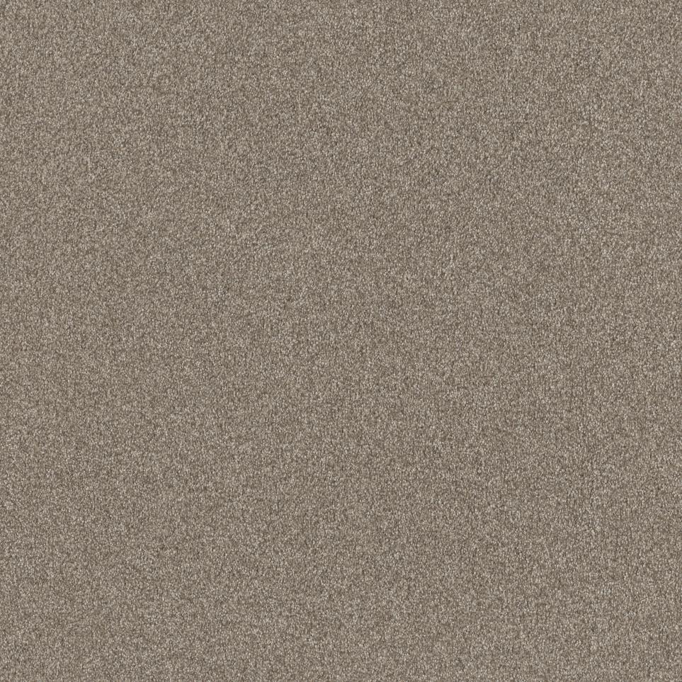 Plush Saxony Barista Beige/Tan Carpet