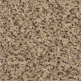 Textured Saxony Drive Time Beige/Tan Carpet