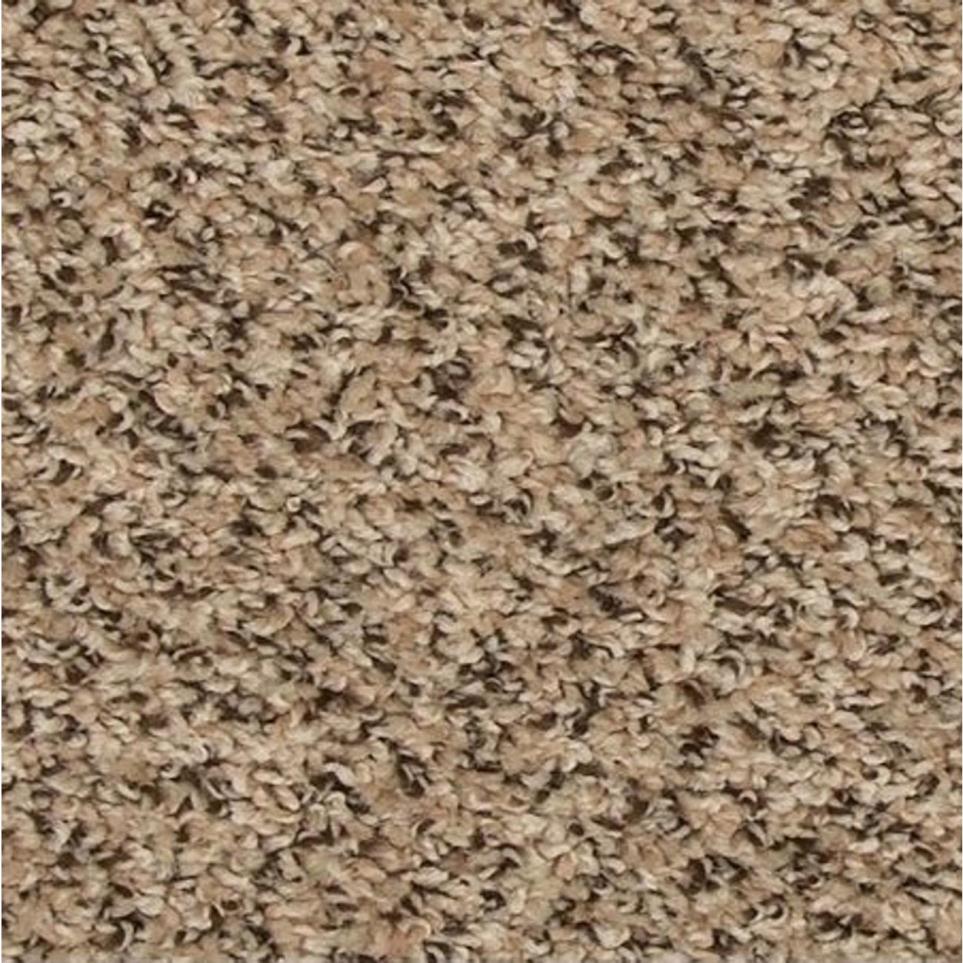 Textured Saxony Drive Time Beige/Tan Carpet