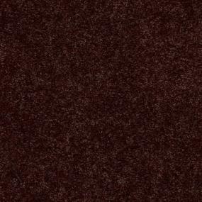 Textured Saxony Fudgesicle Brown Carpet