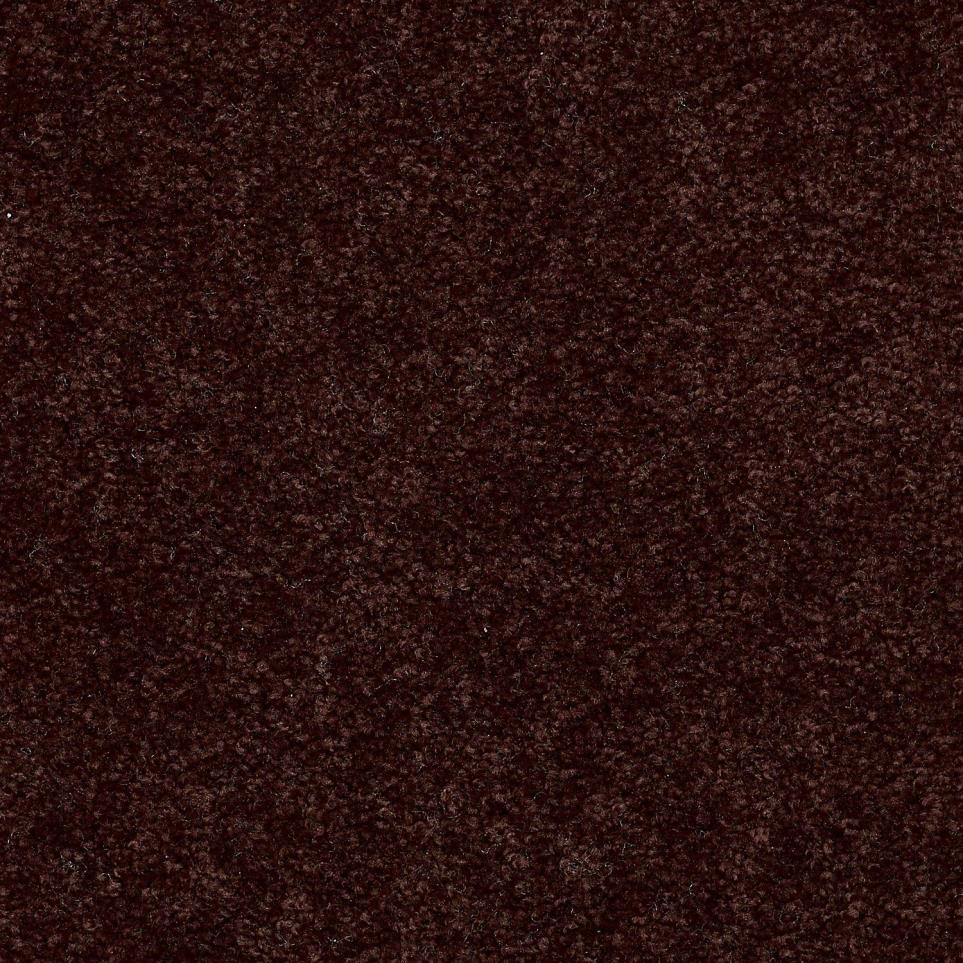 Textured Saxony Fudgesicle Brown Carpet