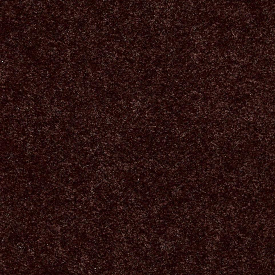 Textured Saxony Fudgesicle Brown Carpet