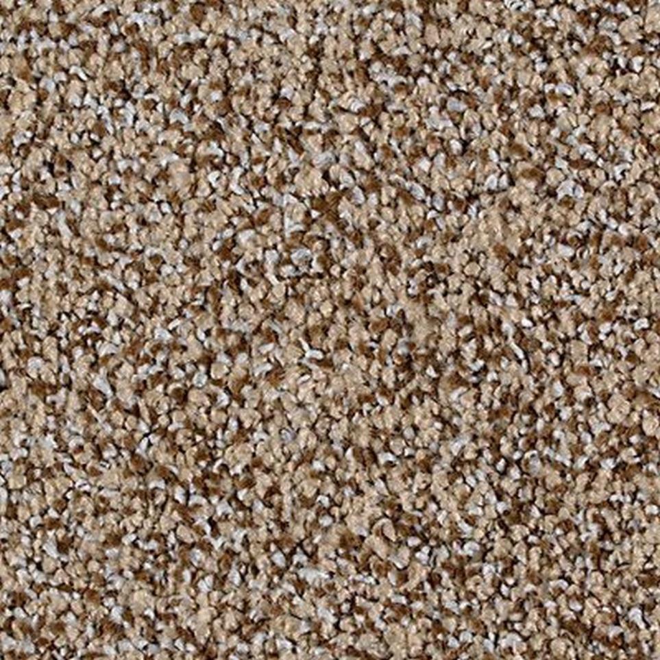 Textured Saxony Suede Beige/Tan Carpet