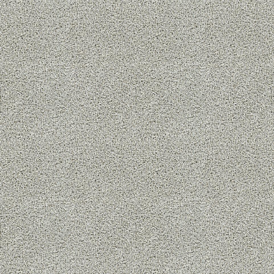 Textured Saxony Monumental Gray Carpet