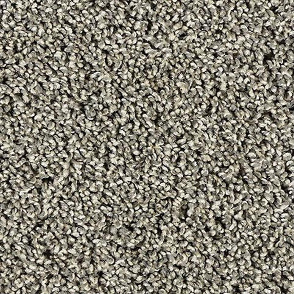 Textured Saxony NIGHTSHADE Gray Carpet