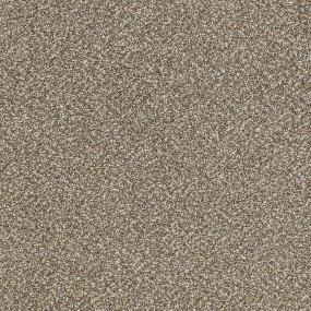 Textured Saxony Dakota Beige/Tan Carpet