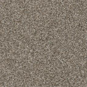 Textured Saxony Show Place Brown Carpet