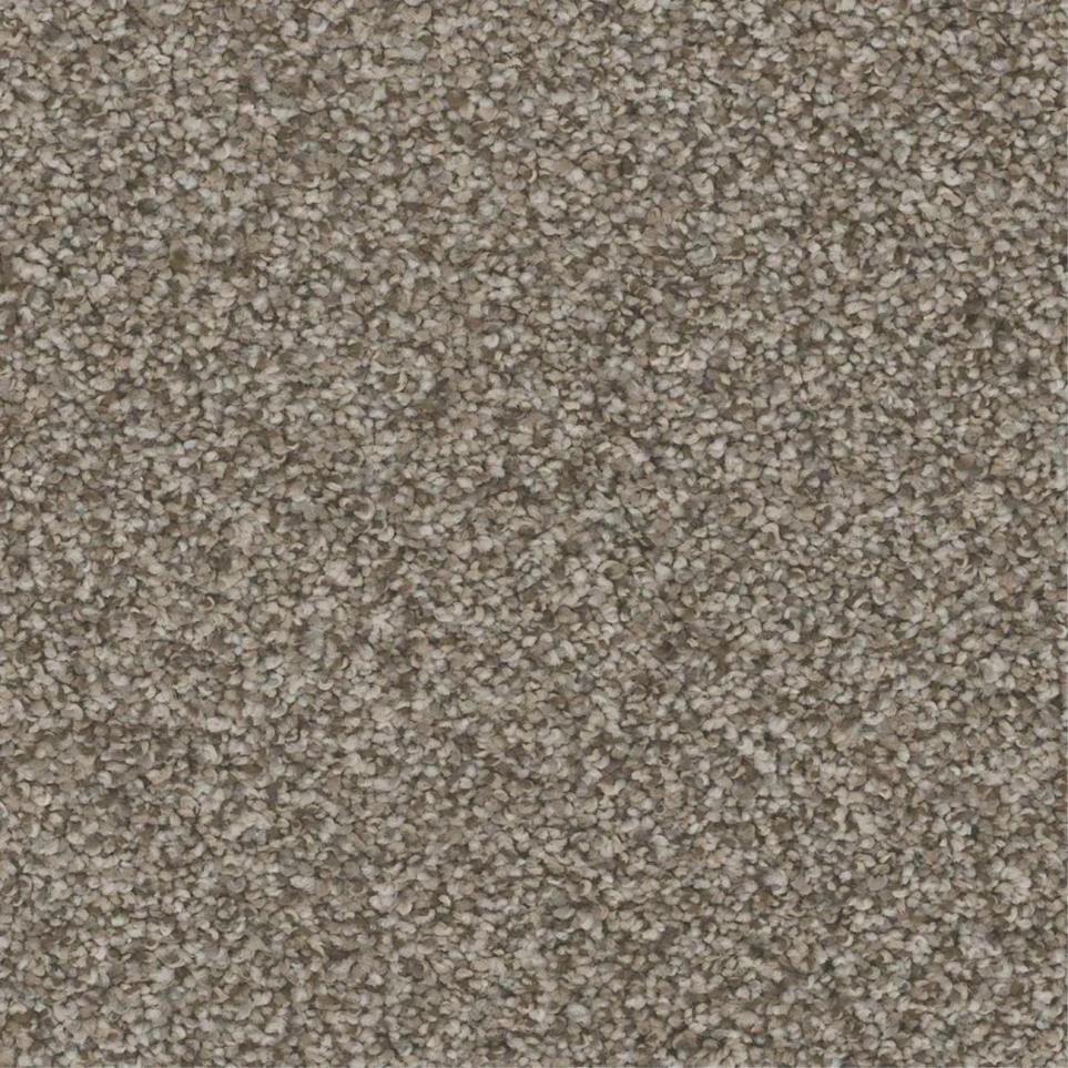 Textured Saxony Show Place Brown Carpet