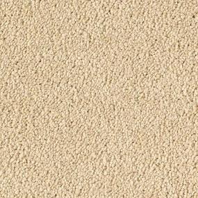 Textured Saxony Desert Star Beige/Tan Carpet
