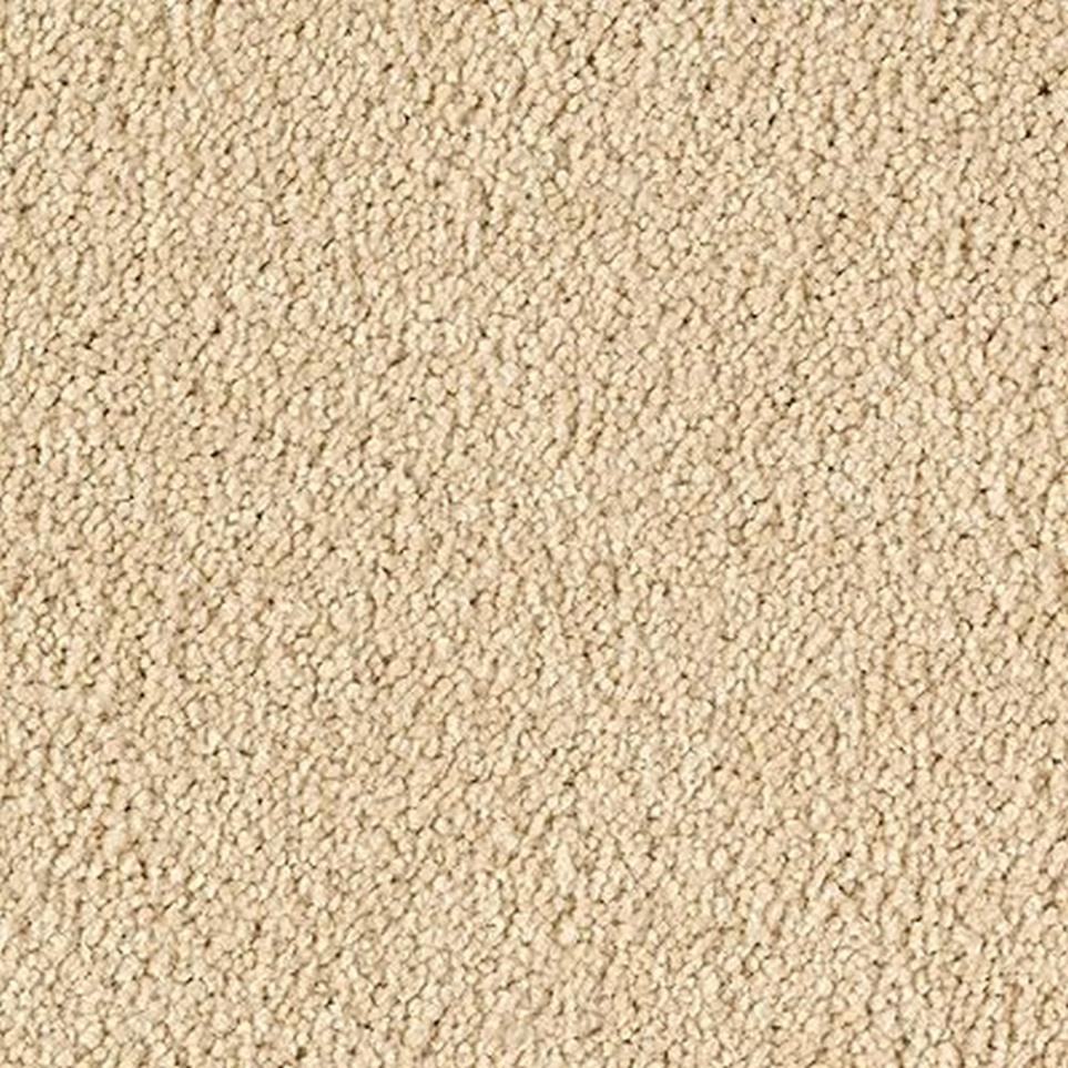 Textured Saxony Desert Star Beige/Tan Carpet