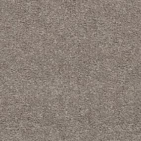 Textured Saxony Chenille Beige/Tan Carpet