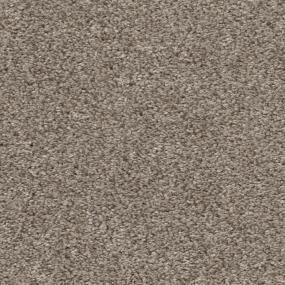 Casual Texture Broth Brown Carpet