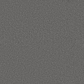 Textured Saxony Charcoal Gray Carpet