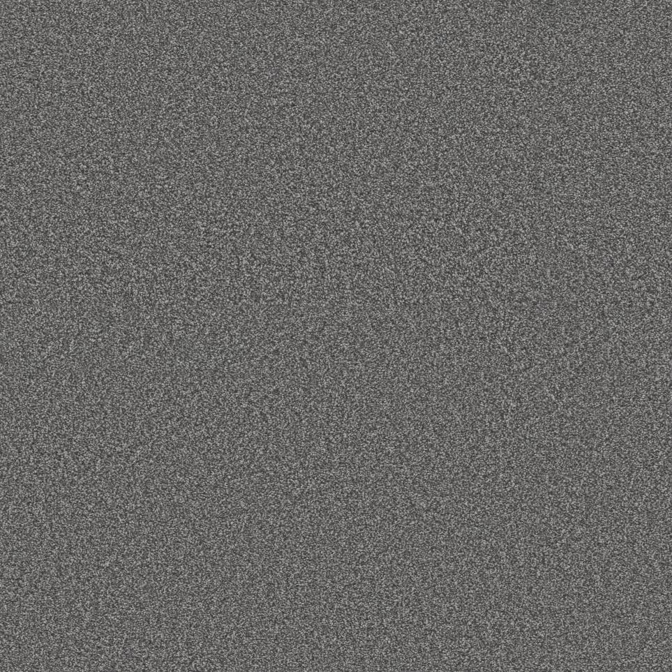 Texture Charcoal Gray Carpet