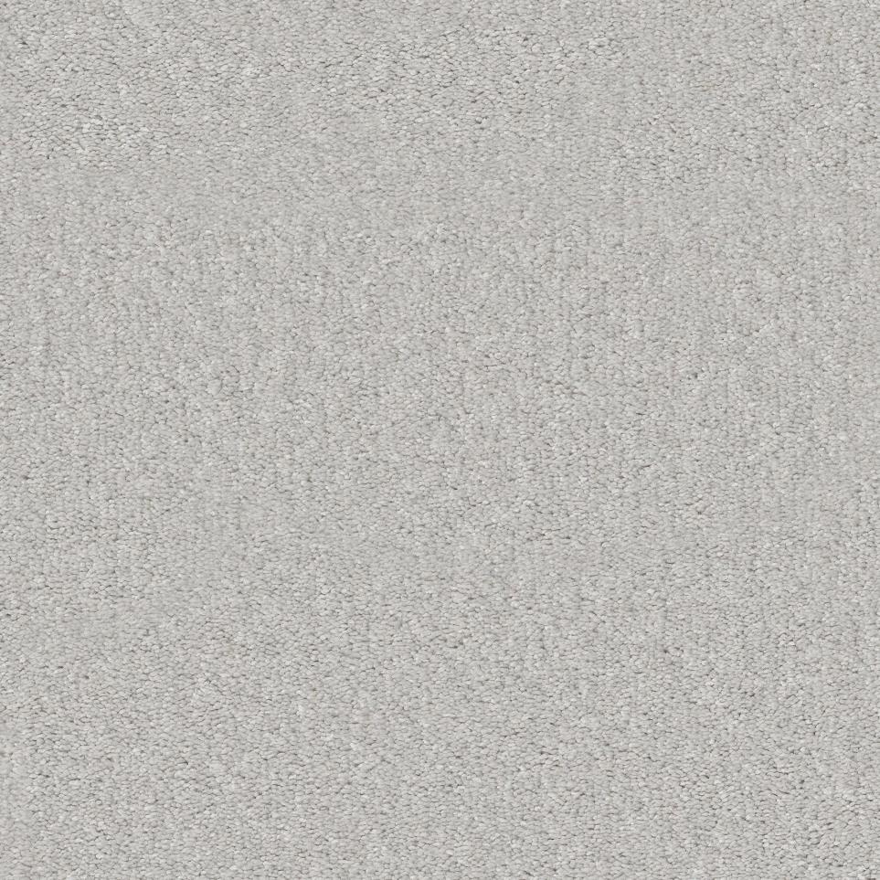 Plush Saxony River Birch Gray Carpet