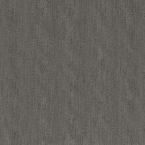 Pattern Bravo Gray Carpet
