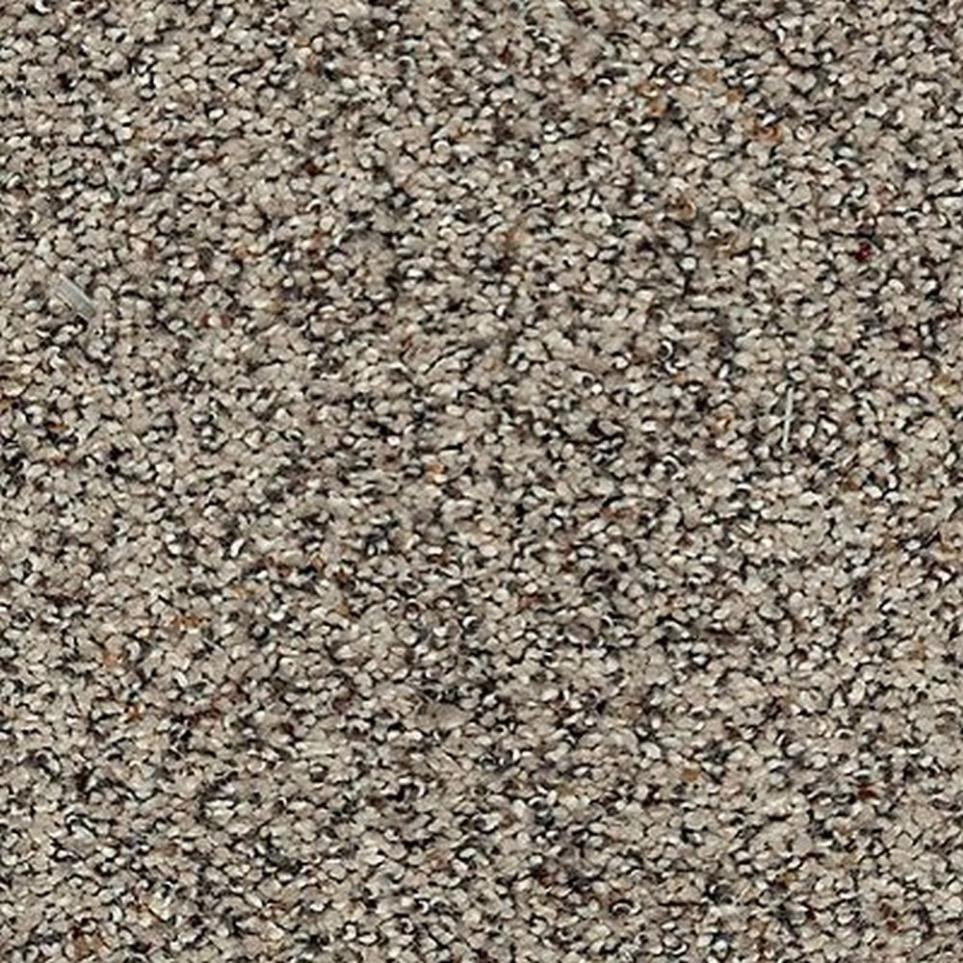 Textured Saxony Optimism Beige/Tan Carpet