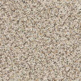 Texture Toasted                        Beige/Tan Carpet