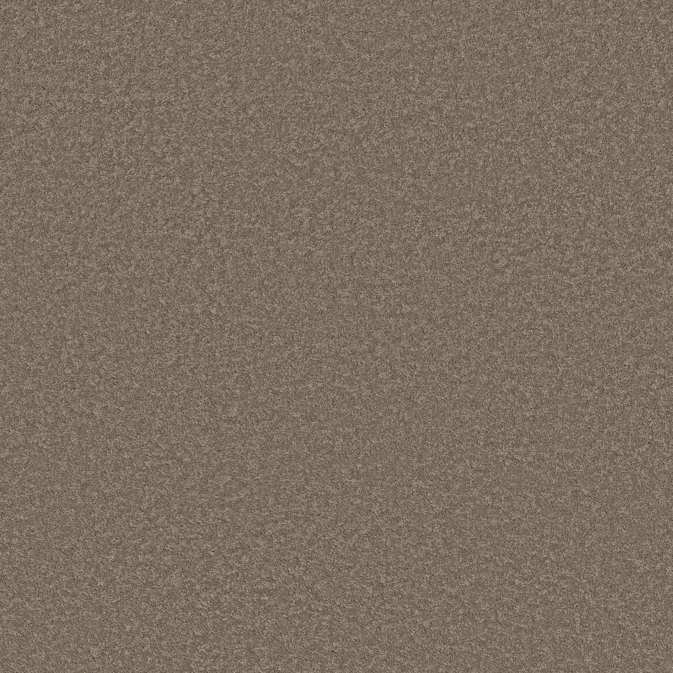 Texture DOWN HOME Brown Carpet