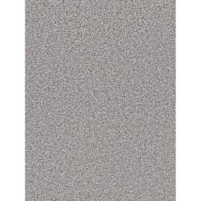 Textured Saxony Sonesta Gray Carpet