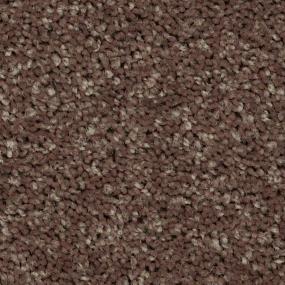 Textured Saxony Knapsack Brown Carpet