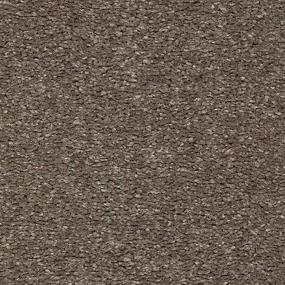 Textured Saxony Portobello Brown Carpet