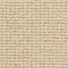 Loop Canvas Beige/Tan Carpet