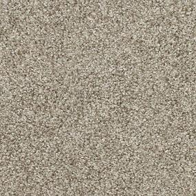 Texture Marigold Brown Carpet