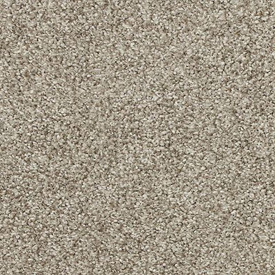 Texture Marigold Brown Carpet