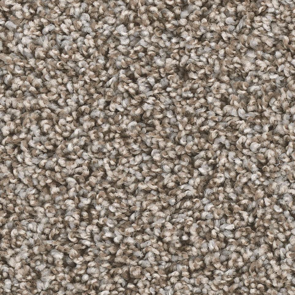 Texture Essence Brown Carpet