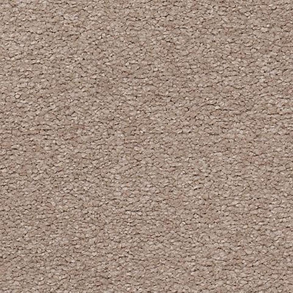 Textured Saxony Tapestry Brown Carpet