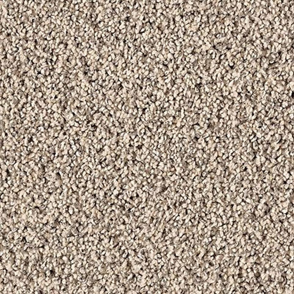 Textured Saxony Opulence Beige/Tan Carpet