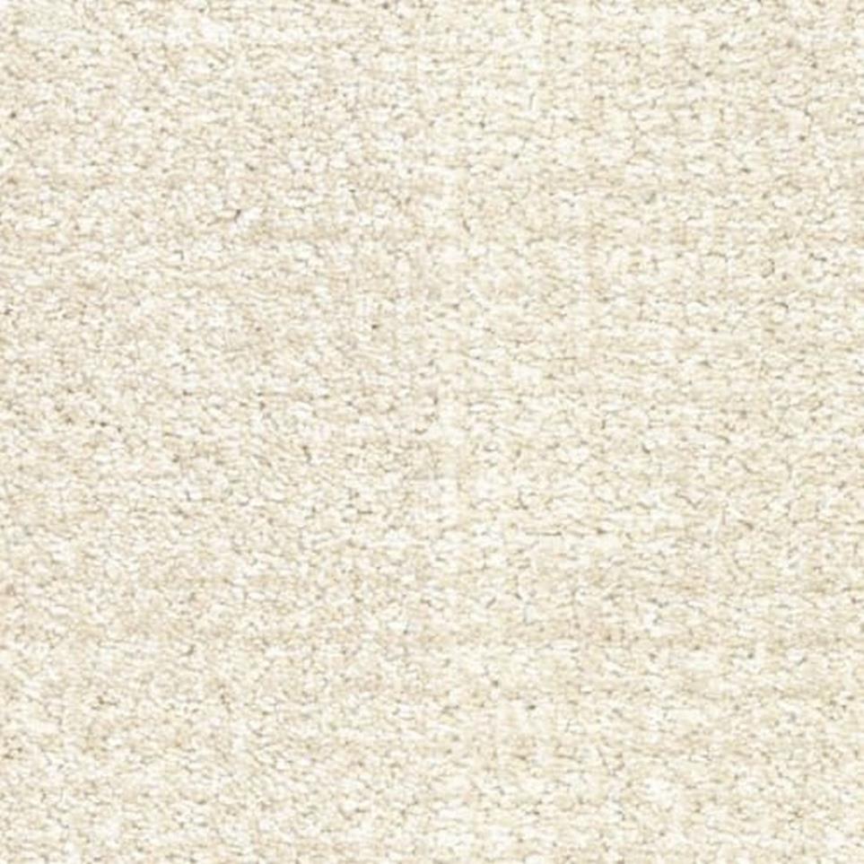 Pattern Dog-Gone It Beige/Tan Carpet