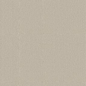 Loop Heavenly Beige/Tan Carpet